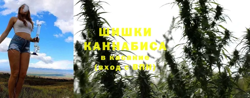 наркота  Нижние Серги  Бошки Шишки Ganja 